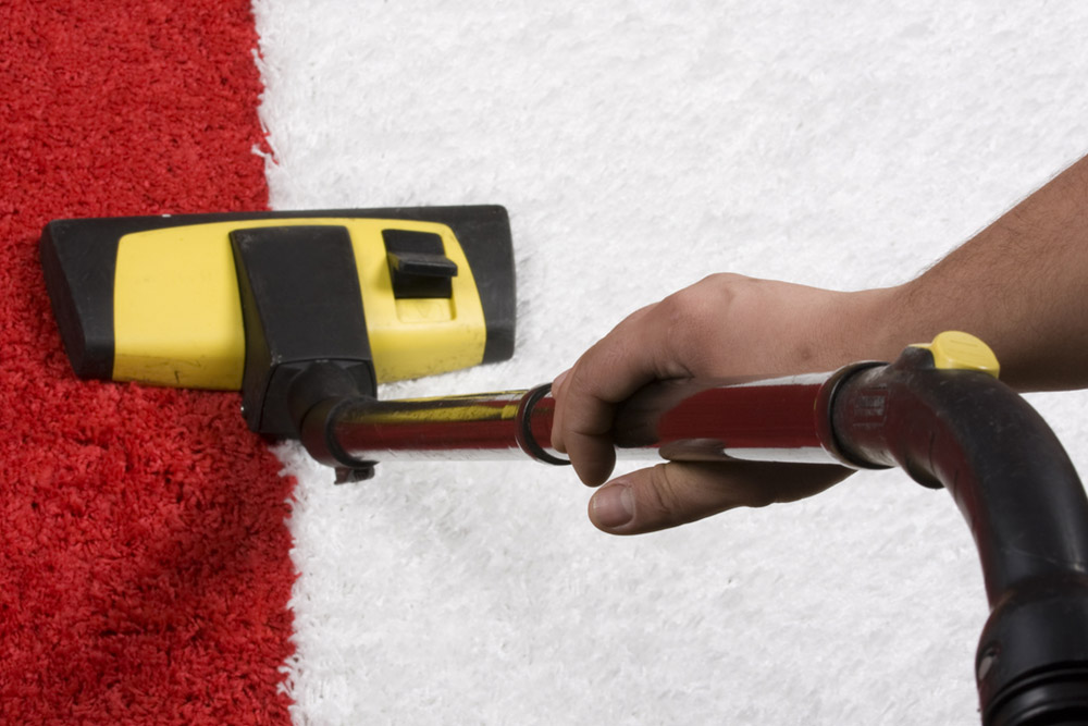 Carpet Cleaning Haringey N4