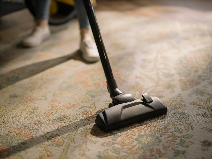 Close-up image of a black vacuum cleaner head actively cleaning a patterned carpet in a well-lit room. The carpet features intricate floral motifs with shades of beige, green, orange, and yellow. The vacuum's hose and part of the handle are visible, with a person's legs and shoes seen in the background, indicating ongoing cleaning activity. The surface appears clean with a slight sheen, reflecting the surrounding light. The setting showcases a typical domestic environment, emphasizing surface cleaning and maintenance, as part of professional services by Haringey Carpet Cleaning. The overall scene highlights deep cleaning and sanitisation processes for residential carpets.